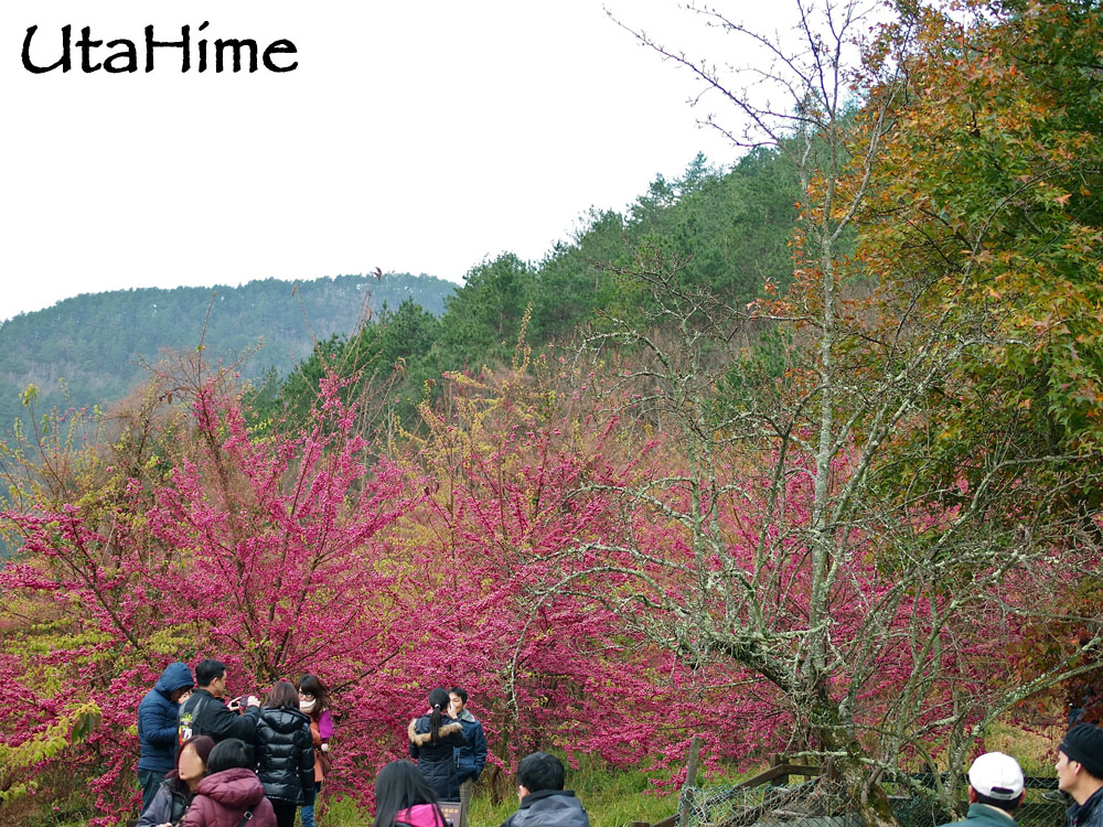 20120219-088 20120219-088