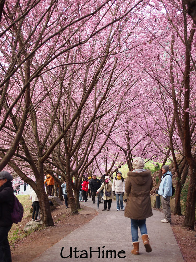 20120219-096 20120219-096