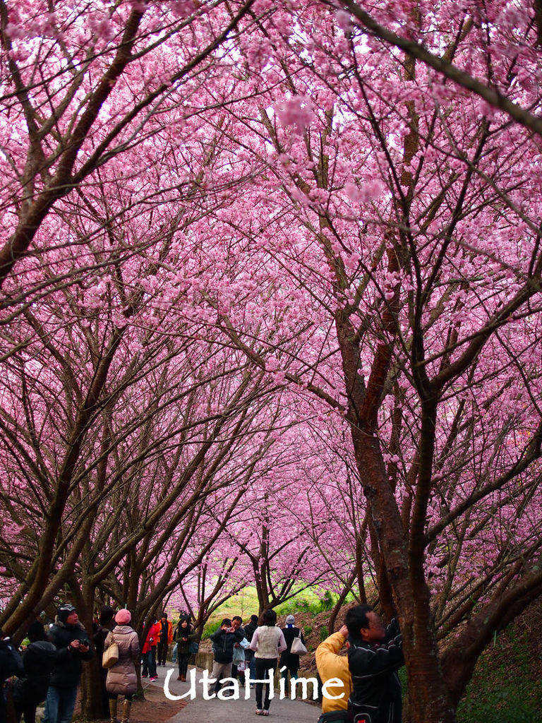 20120219-084 20120219-084