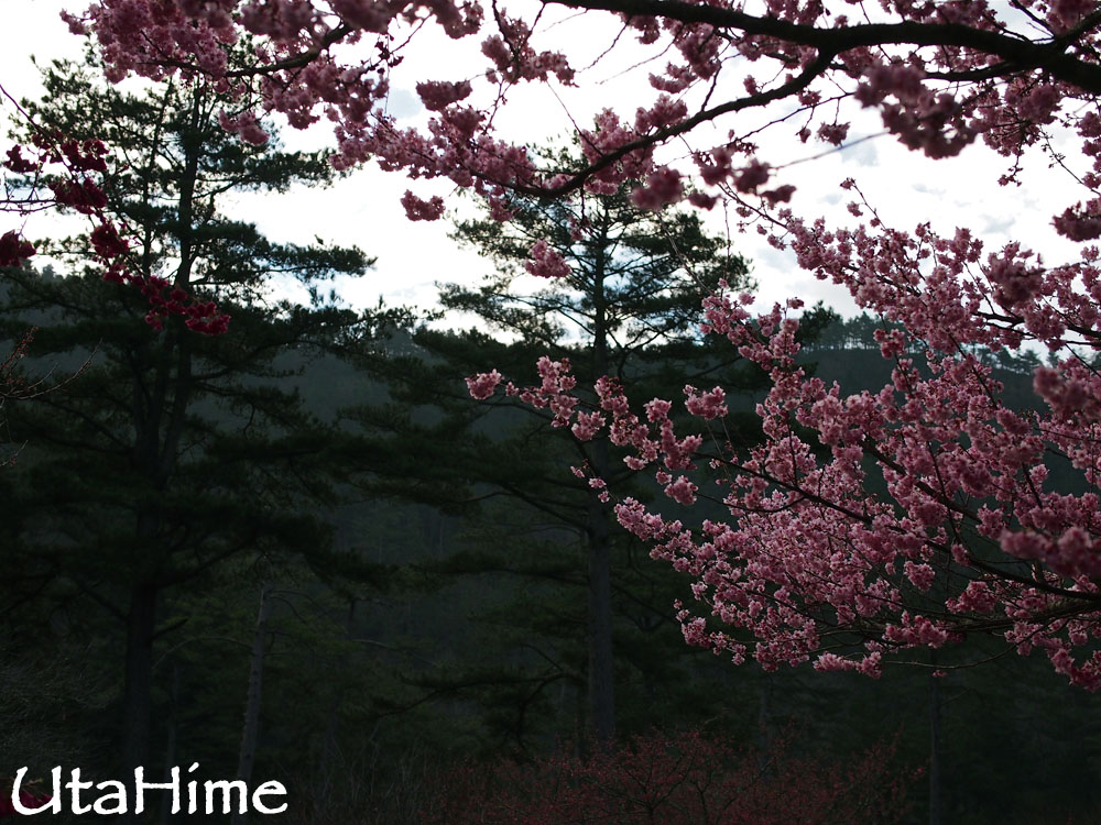 20120219-100 20120219-100