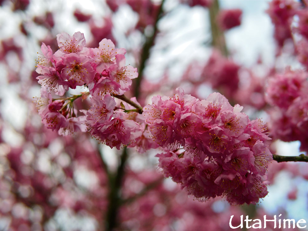 20120219-091 20120219-091