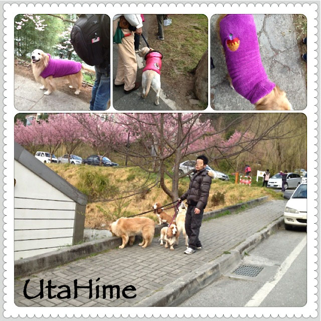 20120219-133 20120219-133