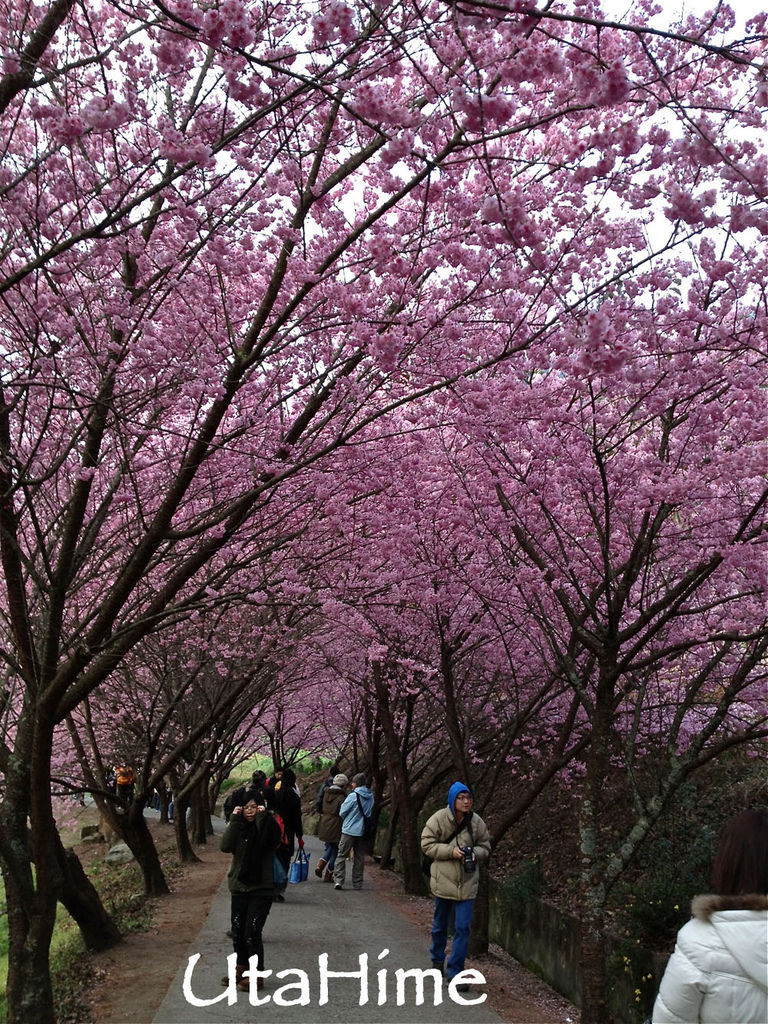 20120219-083 20120219-083