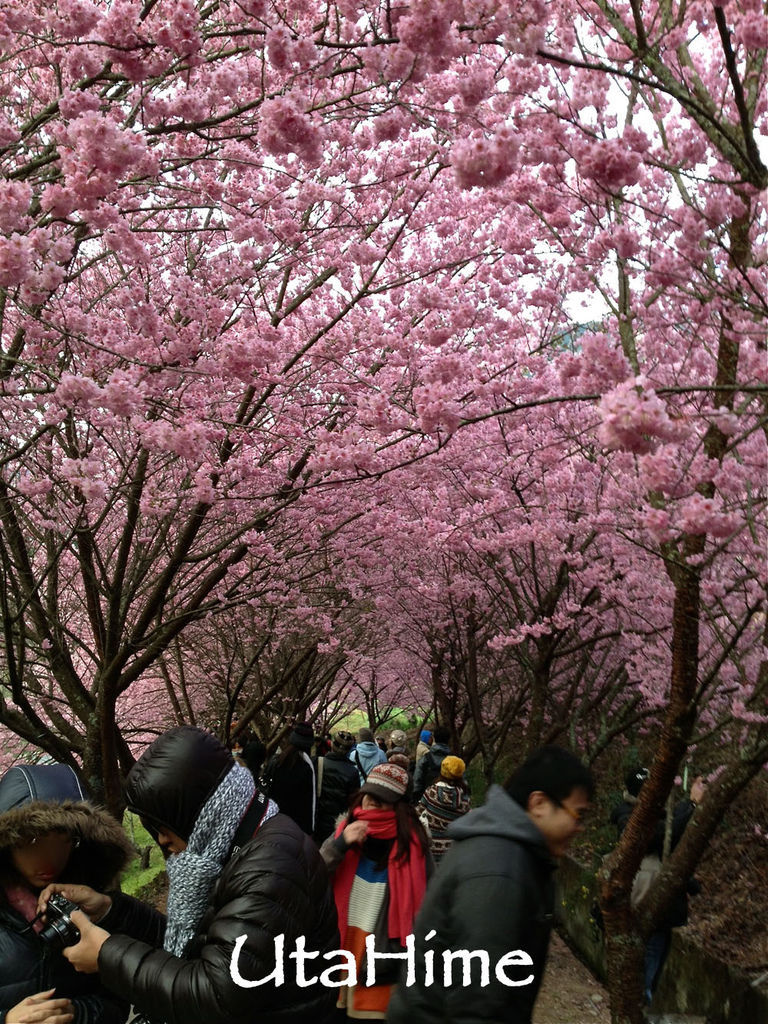 20120219-082 20120219-082