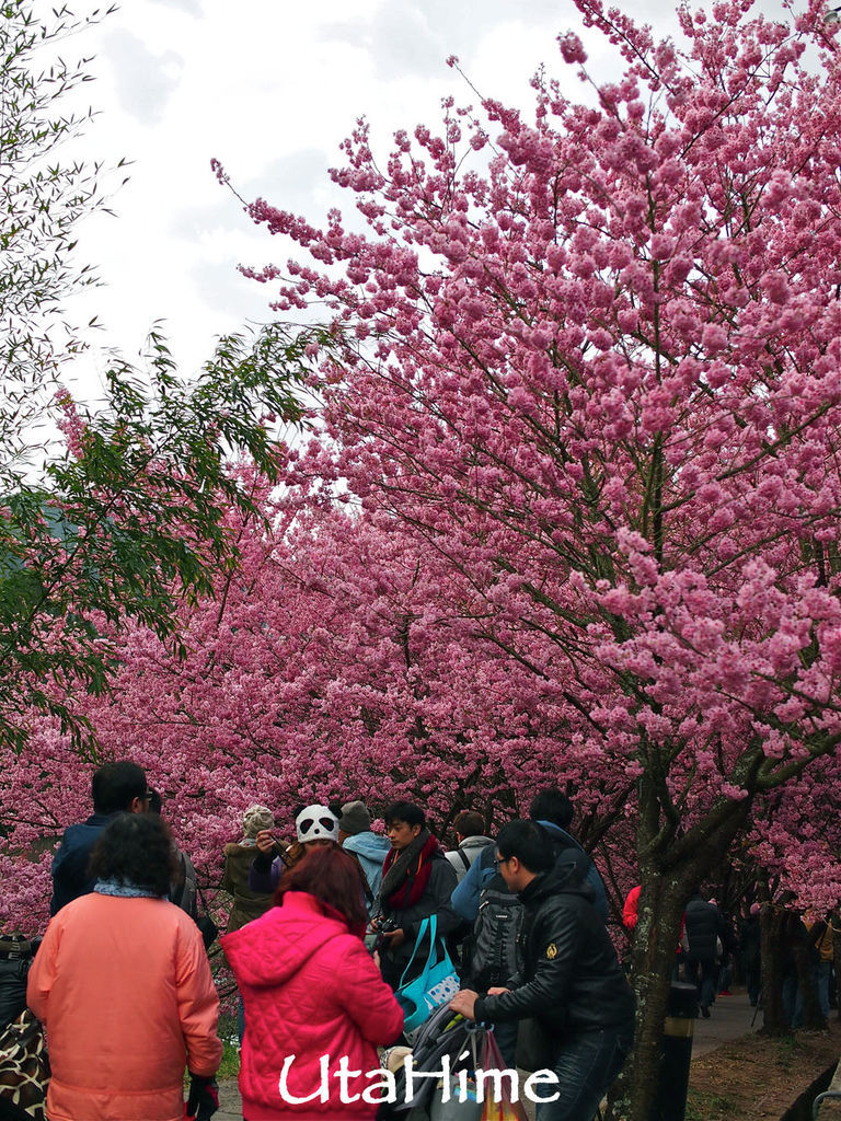 20120219-086 20120219-086