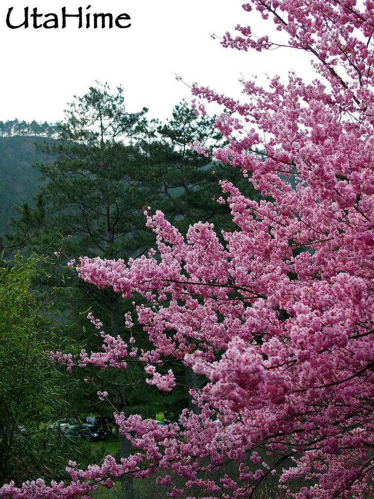 20120219-085 20120219-085