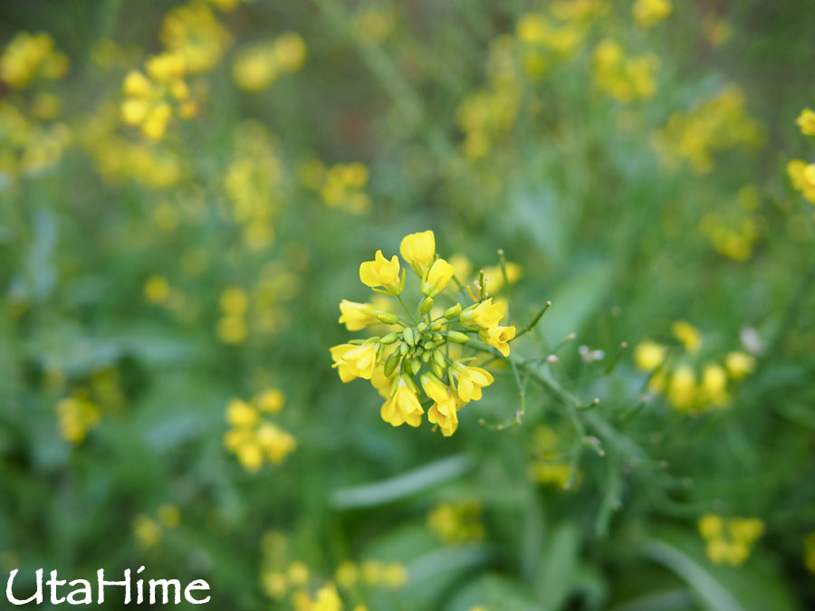 20120219-071 20120219-071