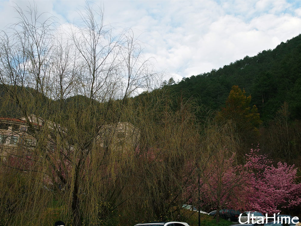 20120219-116 20120219-116