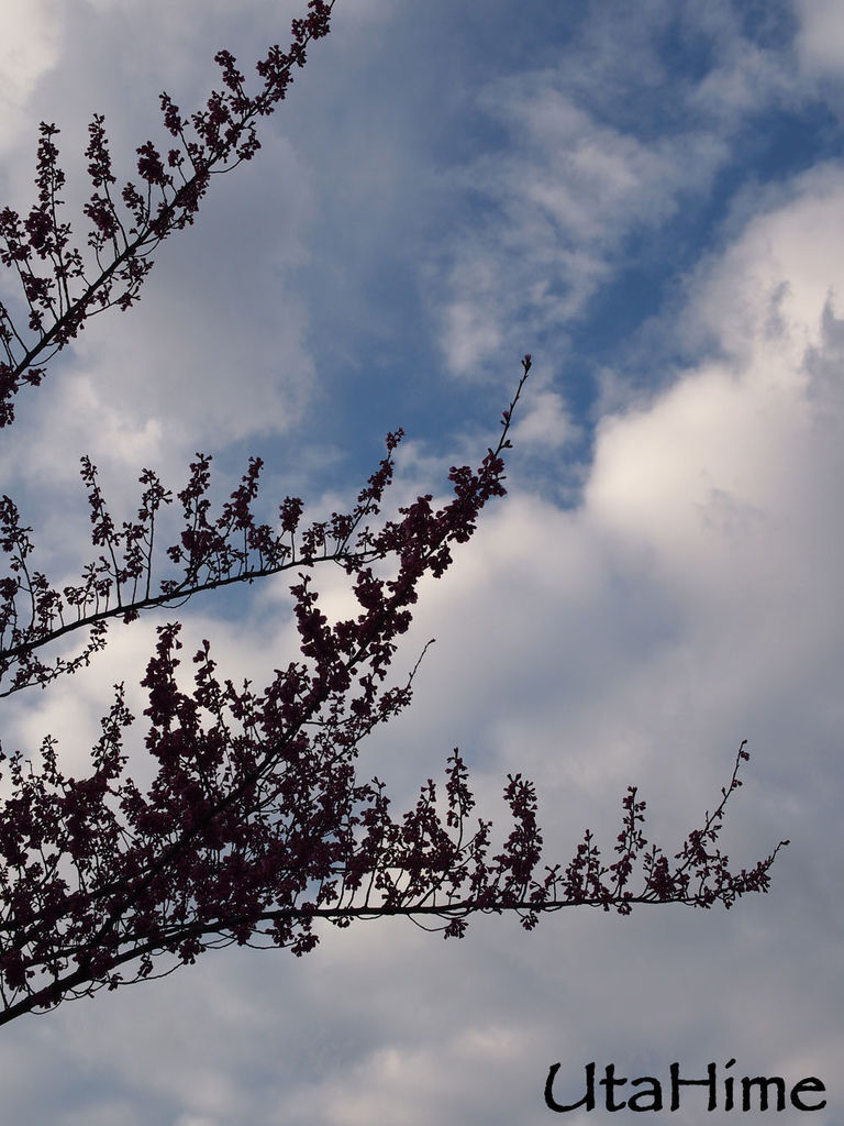 20120219-108 20120219-108