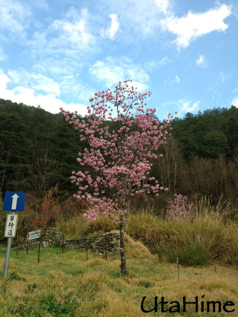 20120219-109 20120219-109