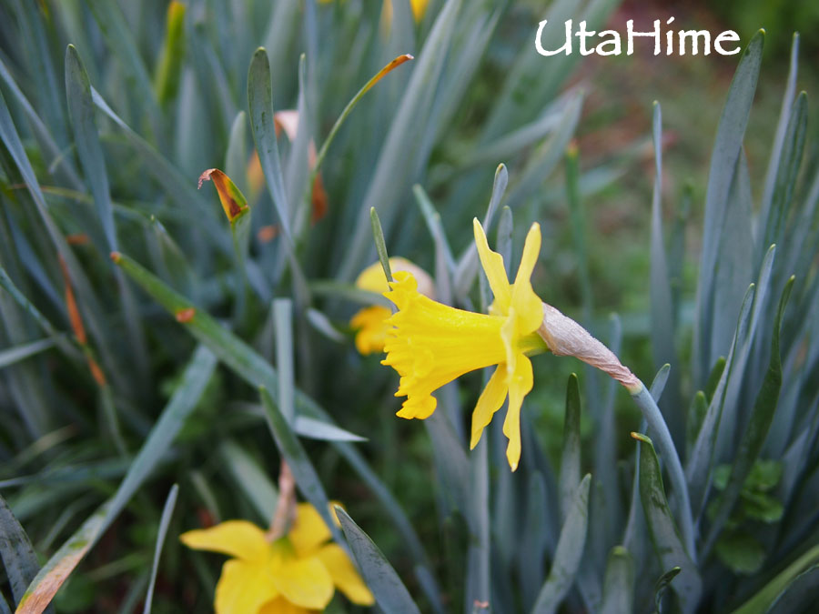 20120219-070 20120219-070