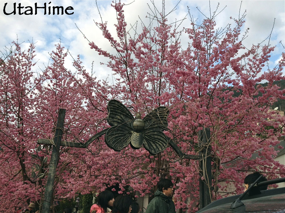 20120219-107 20120219-107