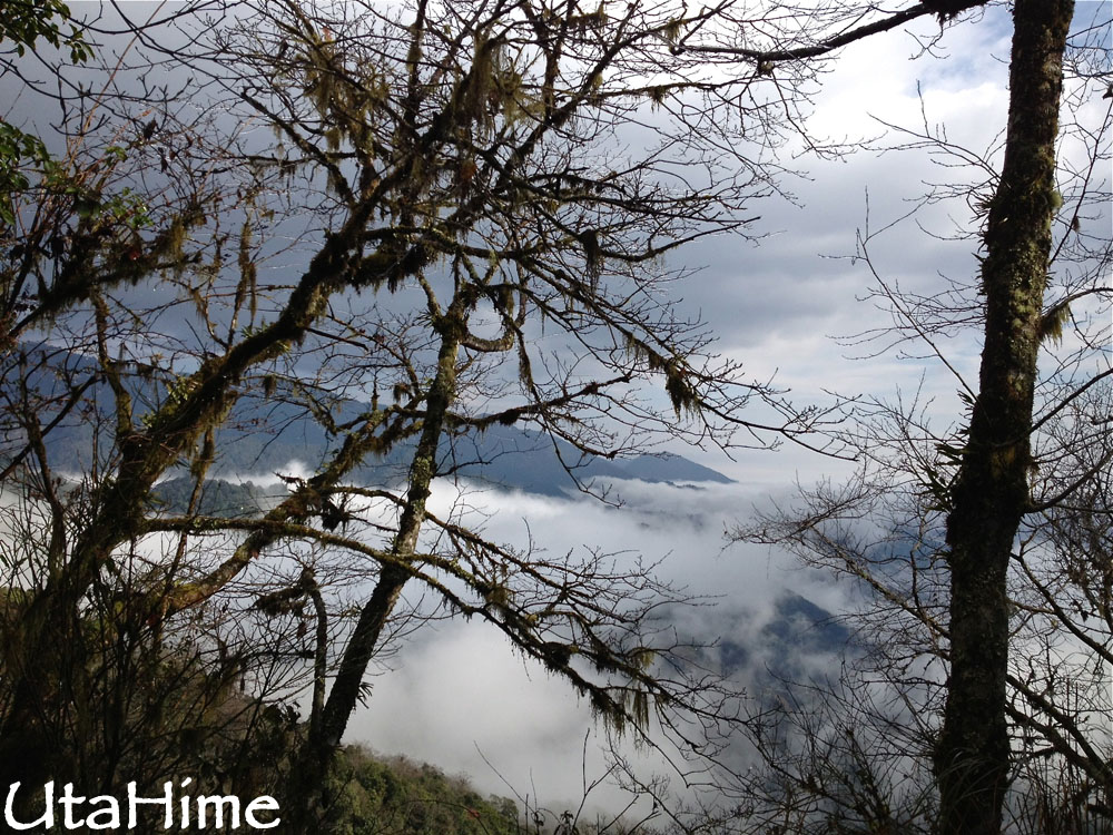 20120219-127 20120219-127