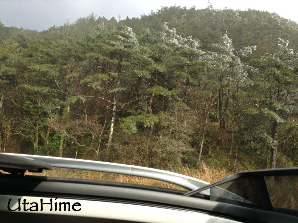 20120219-121 20120219-121