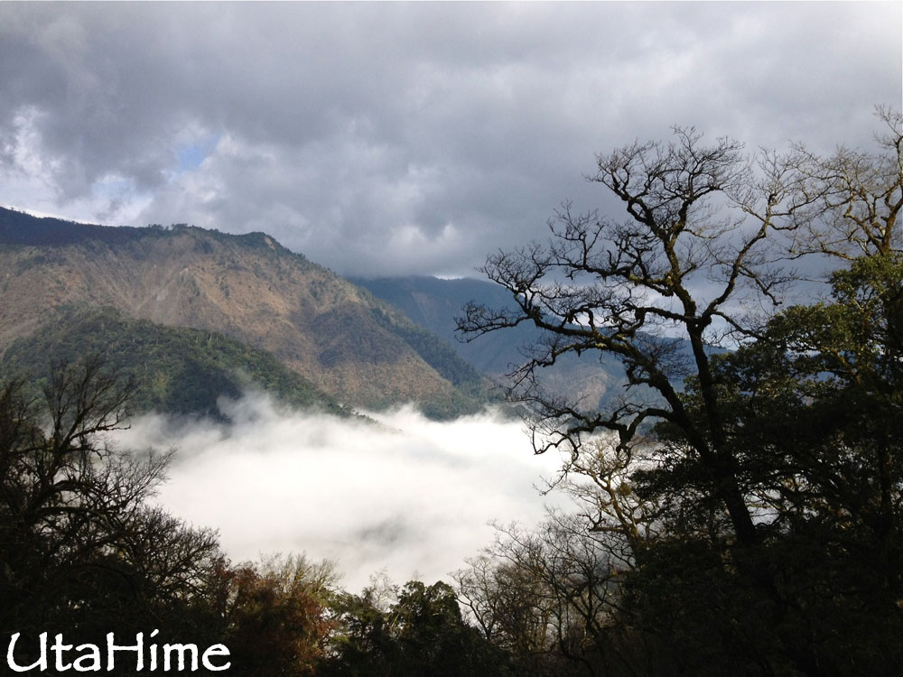 20120219-128 20120219-128