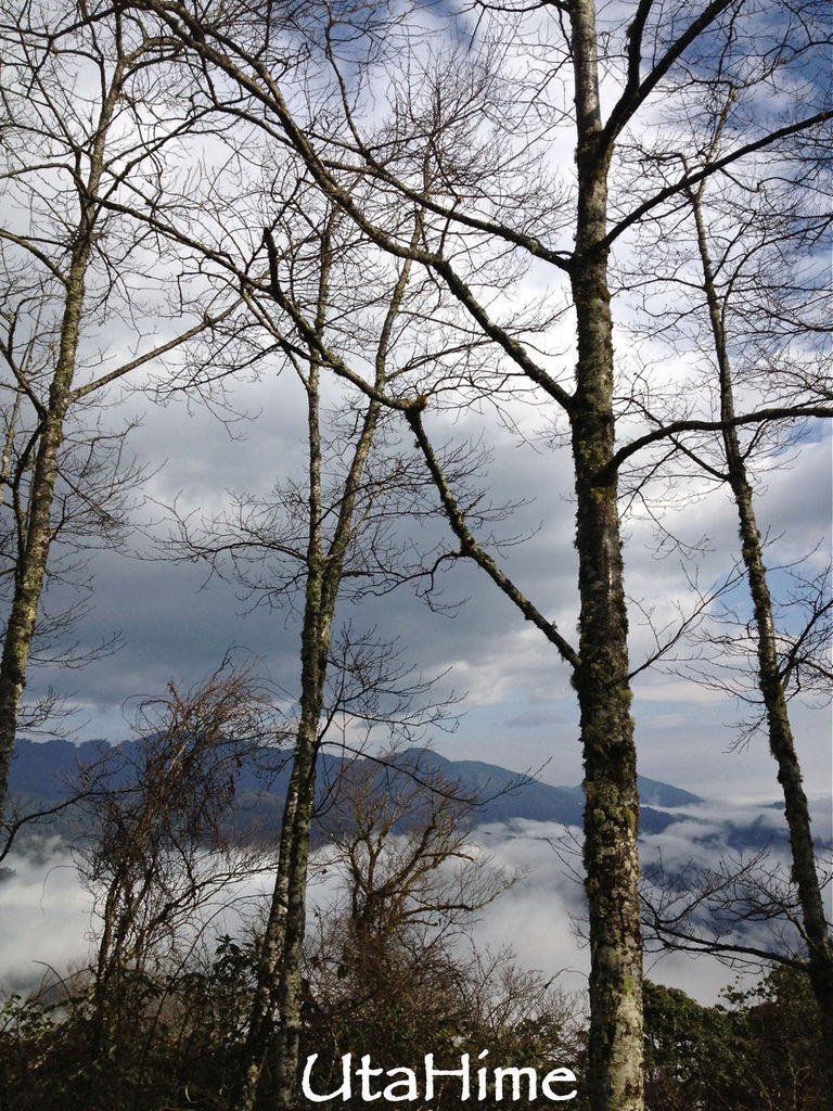 20120219-129 20120219-129