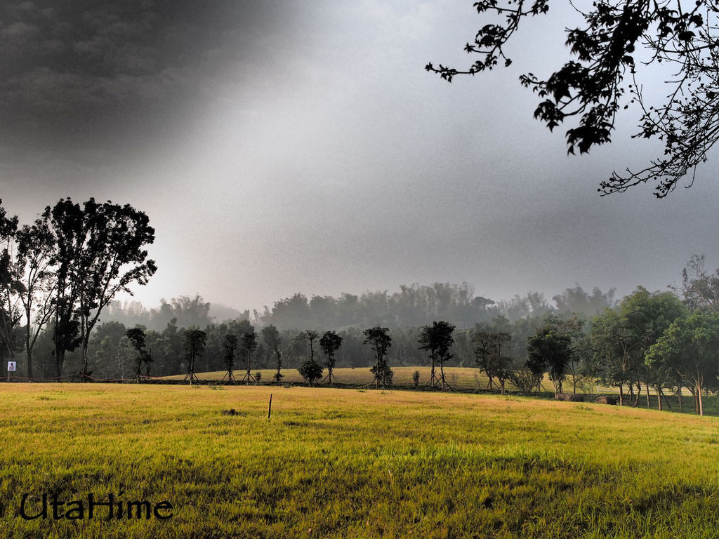 2013balloon34 2013balloon34