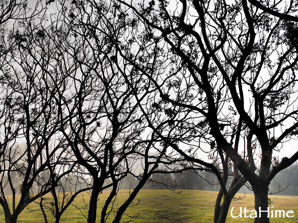 2013balloon33 2013balloon33