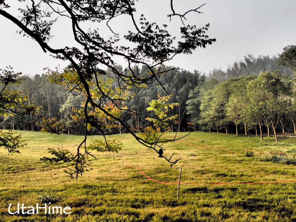 2013balloon39 2013balloon39