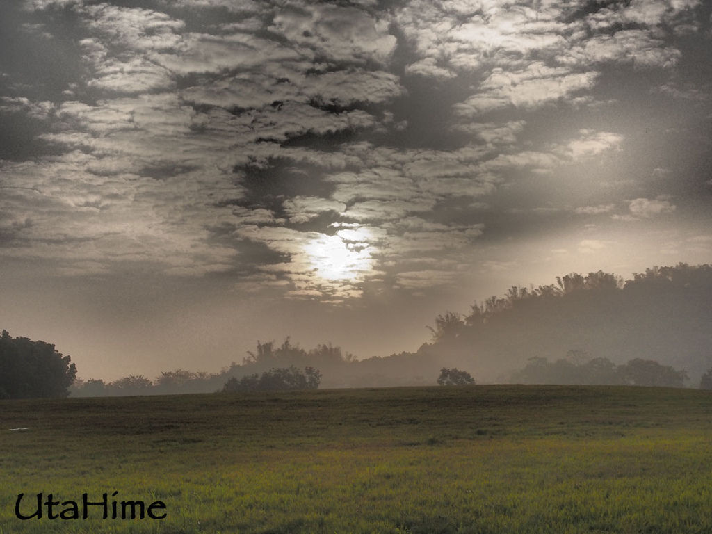 2013balloon35 2013balloon35