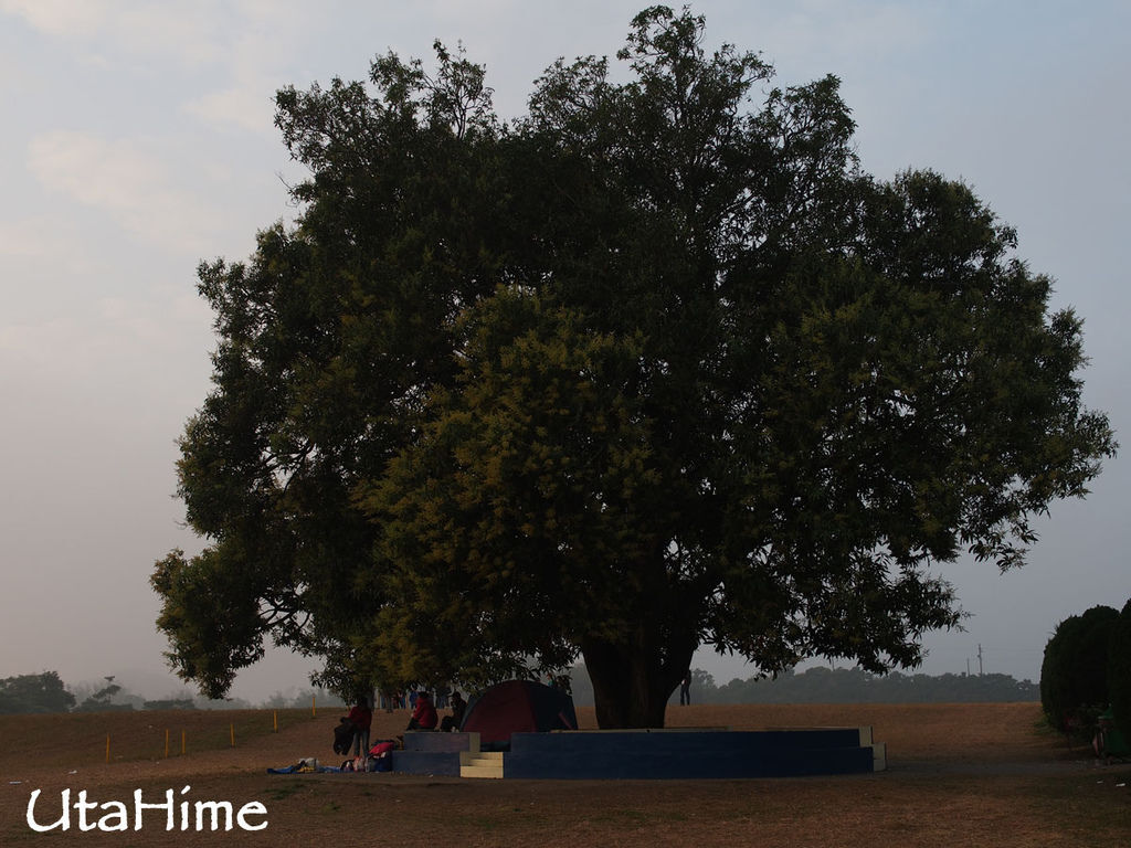 2013balloon30 2013balloon30