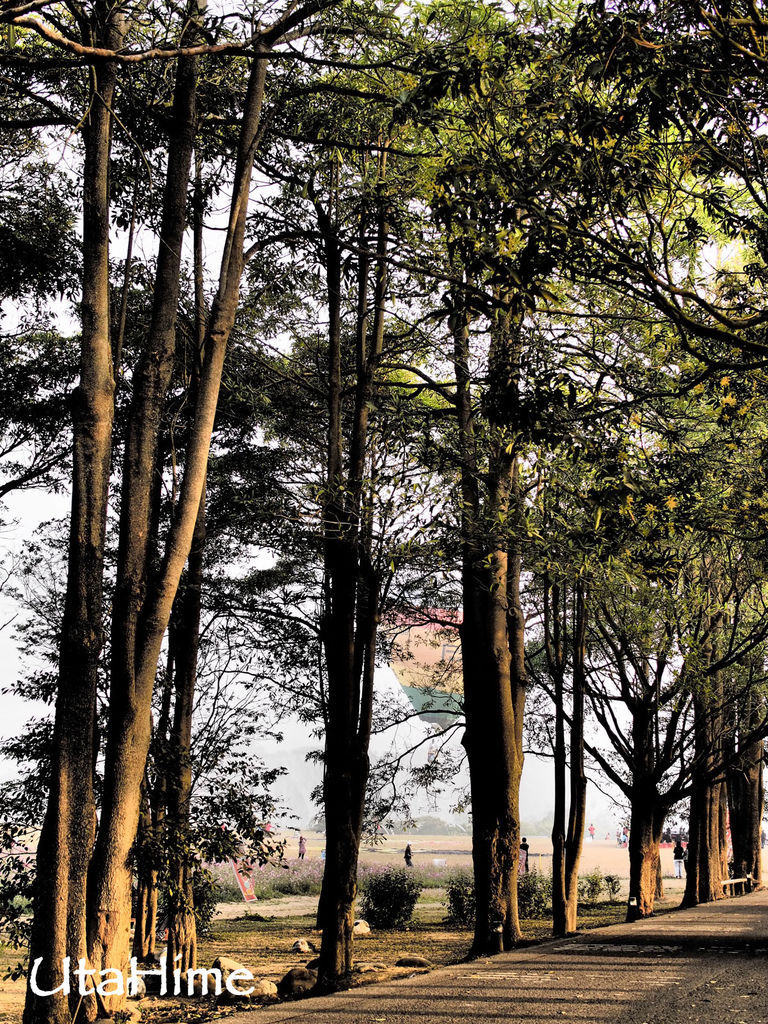 2013balloon44 2013balloon44