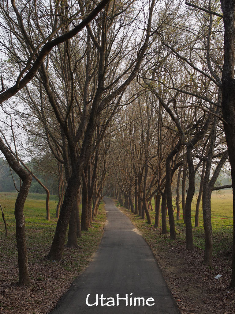 2013balloon43 2013balloon43