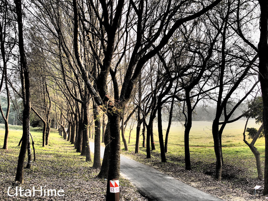 2013balloon42 2013balloon42
