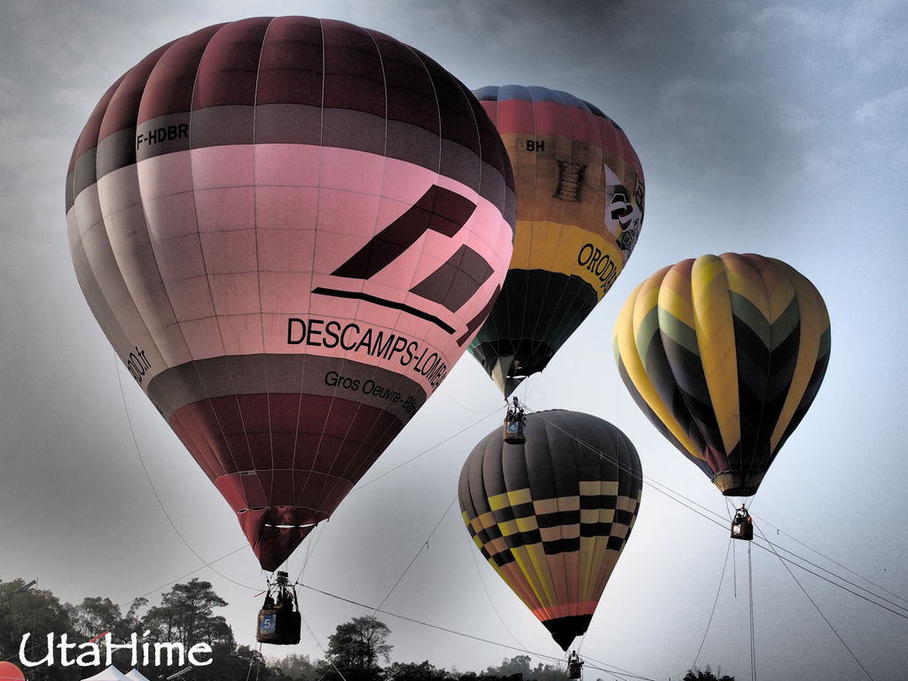 2013balloon75 2013balloon75