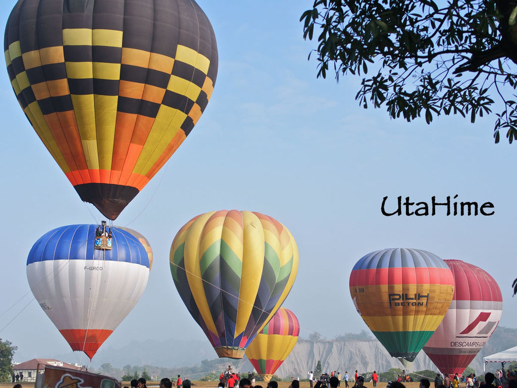 2013balloon83 2013balloon83