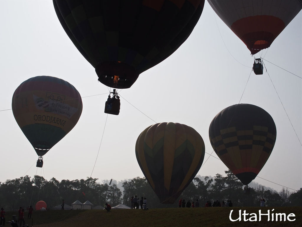 2013balloon87 2013balloon87