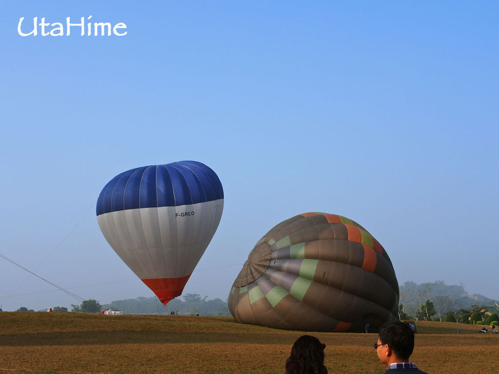 2013balloon80 2013balloon80