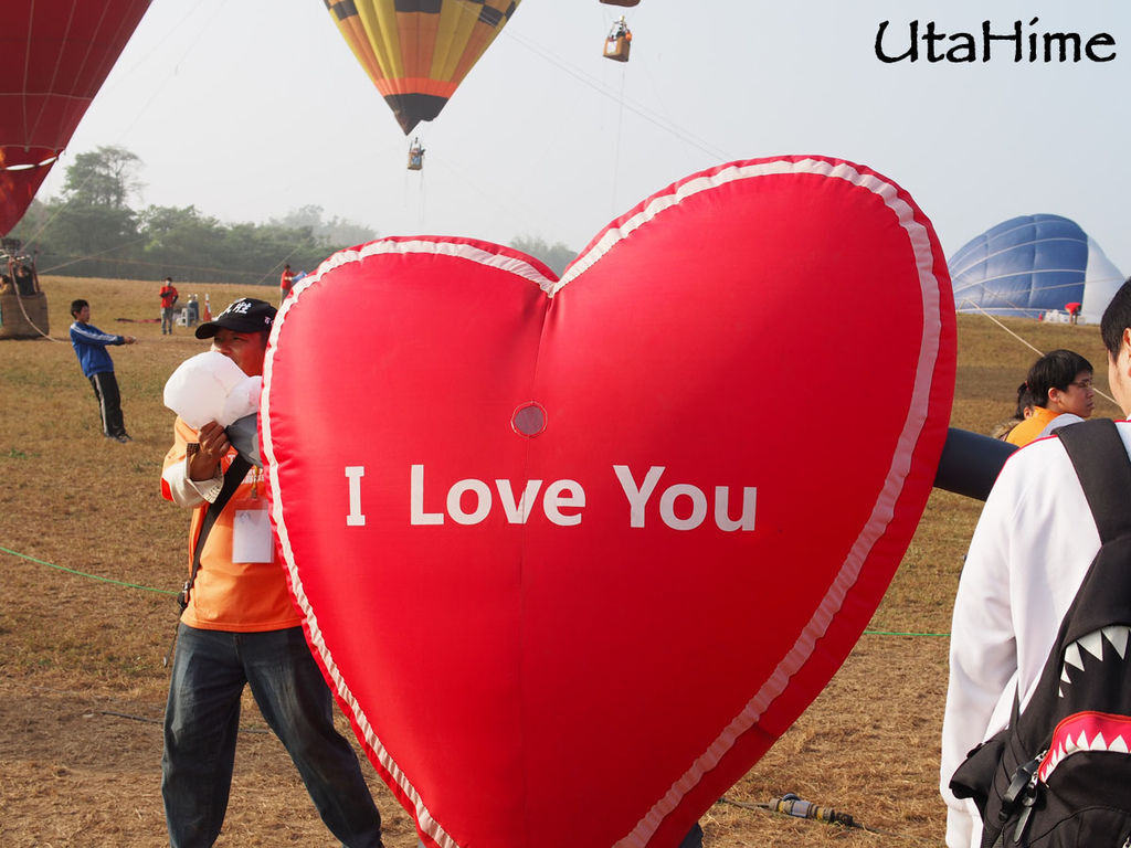 2013balloon79 2013balloon79