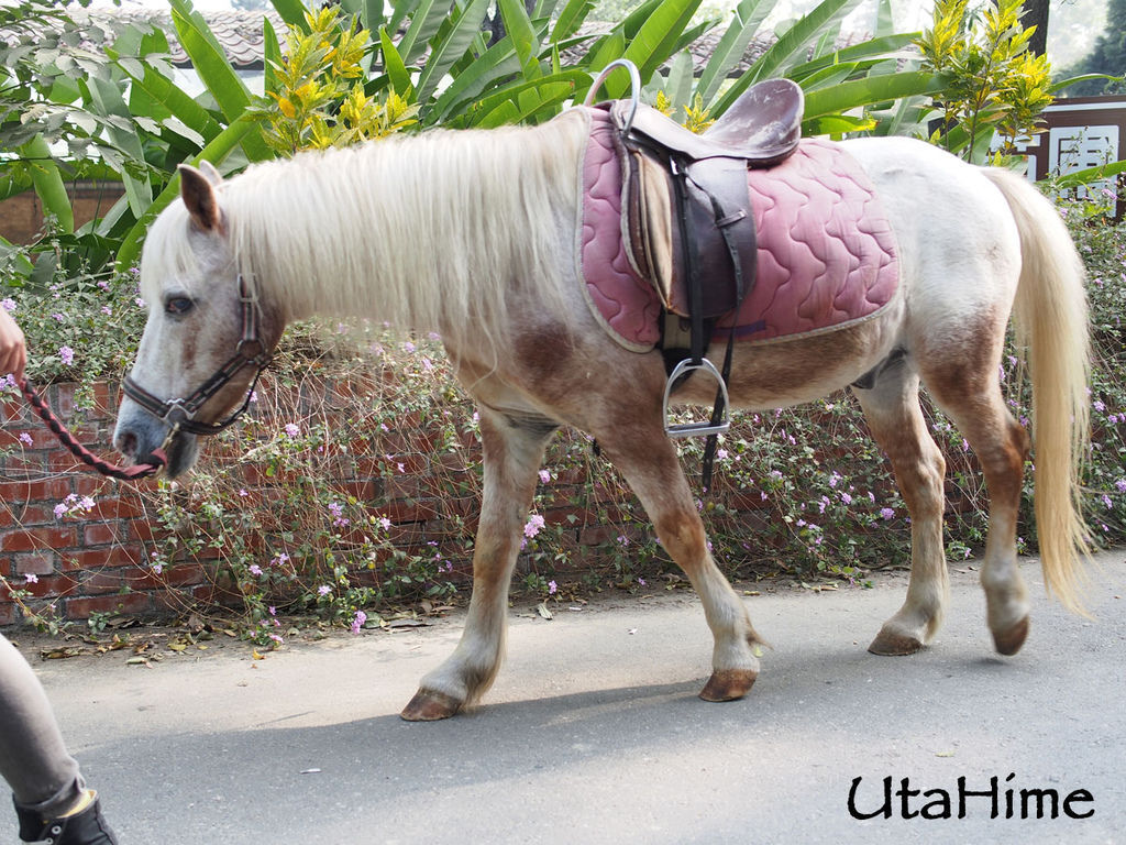 2013balloon97 2013balloon97