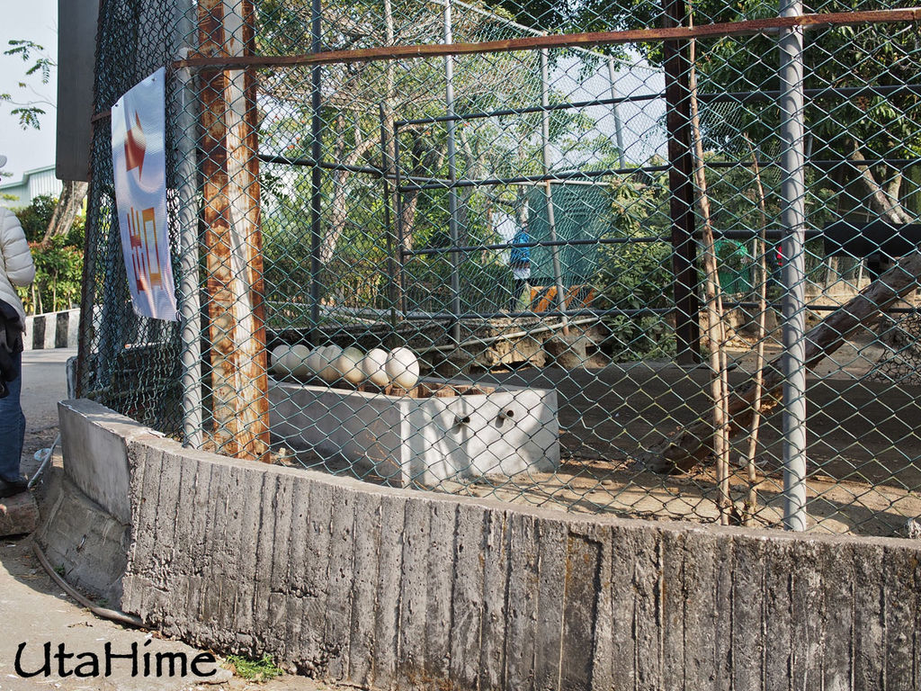 2013balloon94 2013balloon94