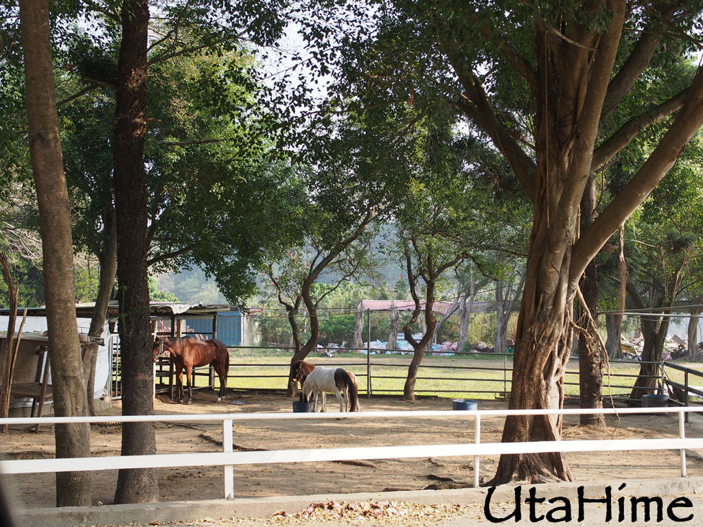 2013balloon98 2013balloon98