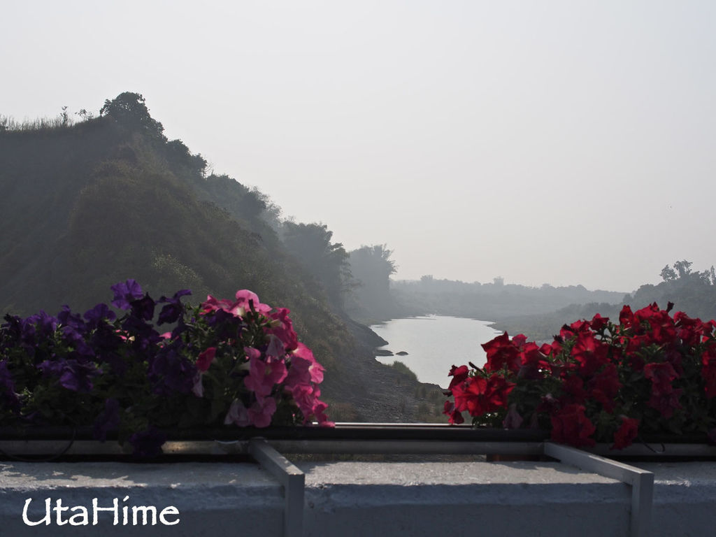 2013balloon99 2013balloon99