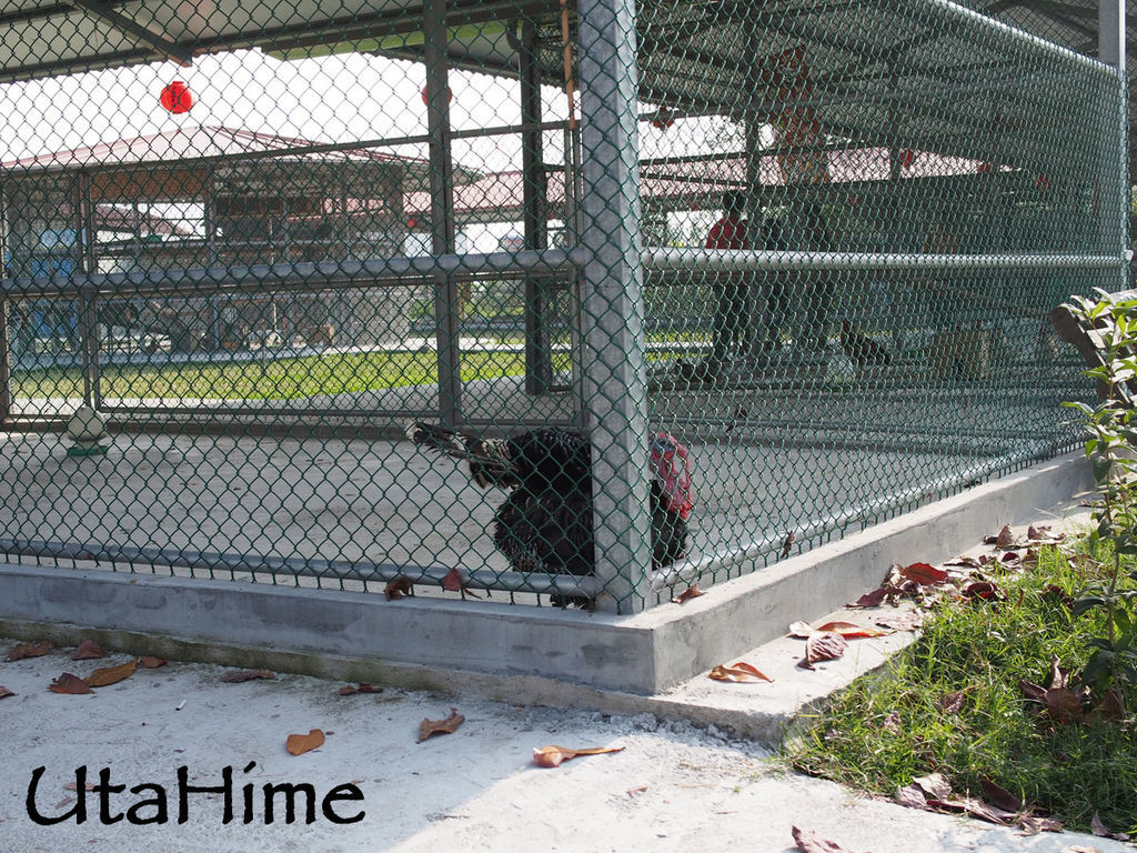 2013balloon93 2013balloon93