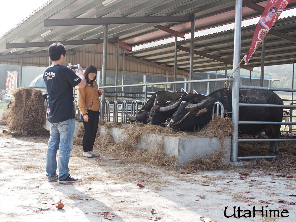 2013balloon92 2013balloon92