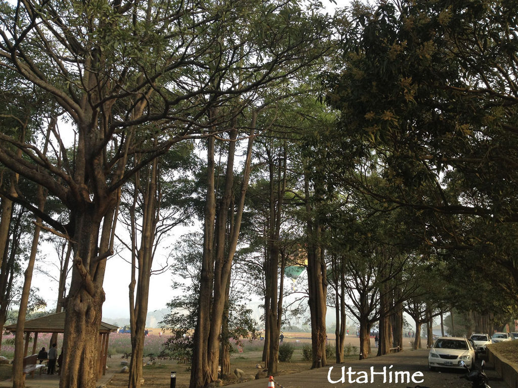 2013balloon07 2013balloon07