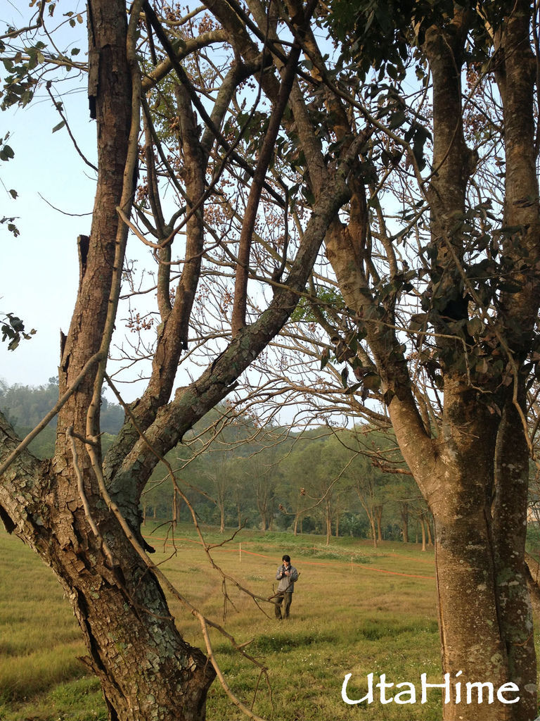 2013balloon06 2013balloon06