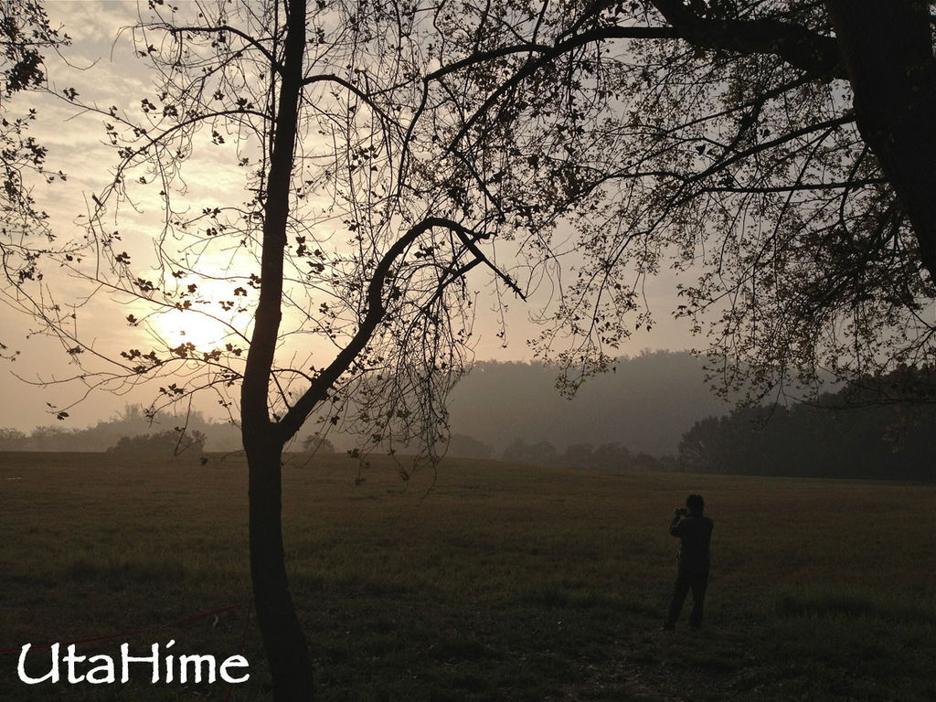 2013balloon04 2013balloon04