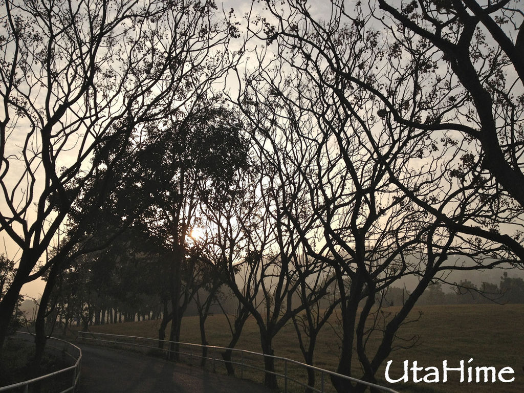 2013balloon05 2013balloon05