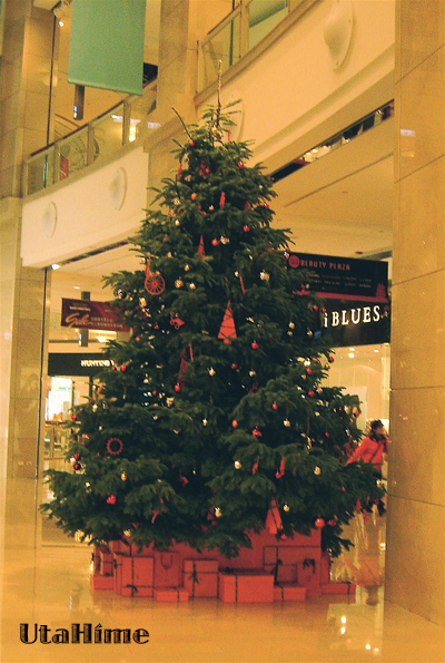 christmas2009 christmas2009