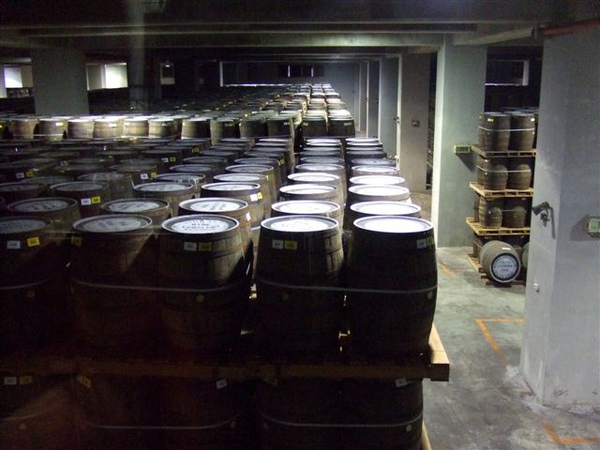 一整個倉庫都是釀酒桶