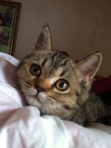 T1SwpQFxJuXXa3QZba_210x210 T1SwpQFxJuXXa3QZba_210x210