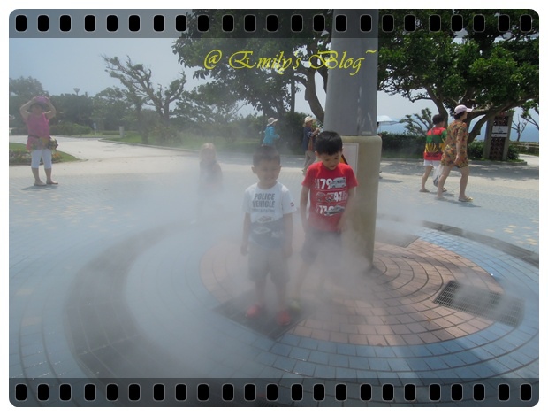 DSCN0207 DSCN0207