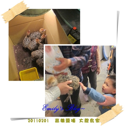 blogs (6).jpg blogs (6).jpg