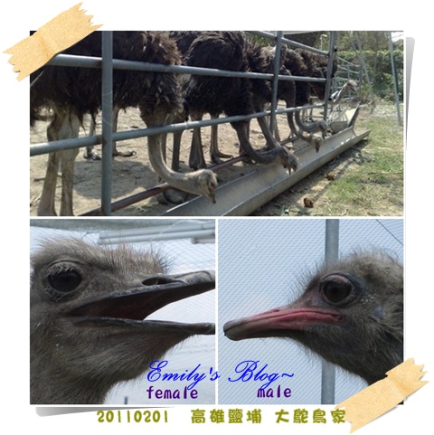 blogs (1).jpg blogs (1).jpg