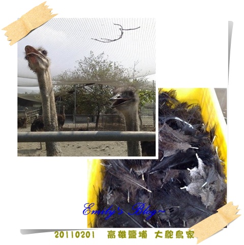 blogs (2).jpg blogs (2).jpg